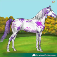 Horse Color:Watercolor Blue Onyx Splash Tobiano 