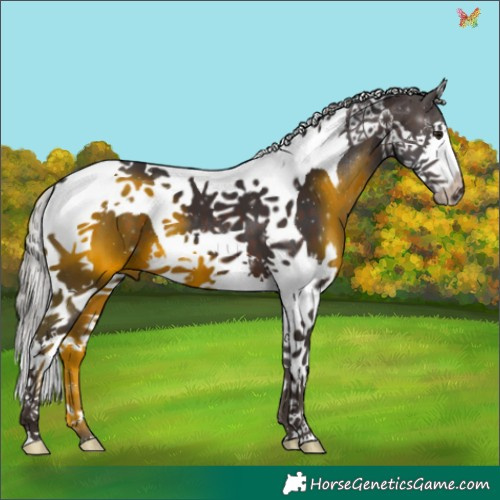 Horse Color:Silver Brown Splash Tobiano 