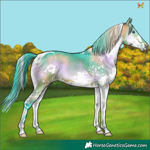 Horse Color:Watercolor Brown Onyx Splash Tobiano 