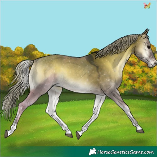 Horse Color:Silver Brown Onyx 