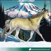Horse Color:Silver Brown Onyx 
