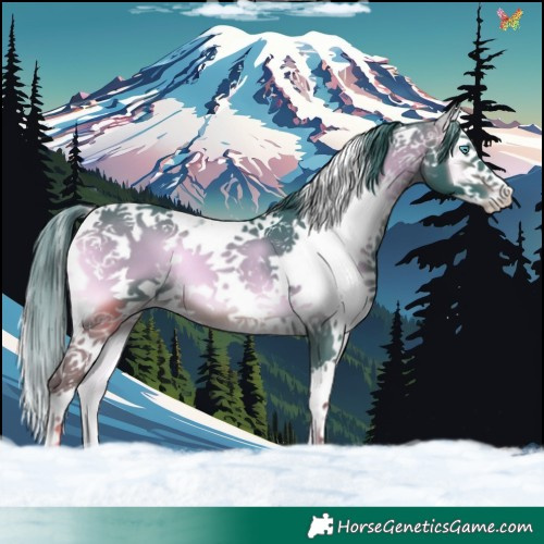Horse Color:Watercolor Brown Onyx Splash Tobiano 