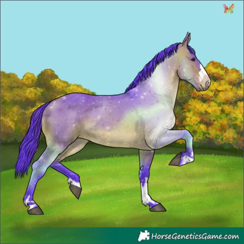 Horse Color:Watercolor Brown Dun 