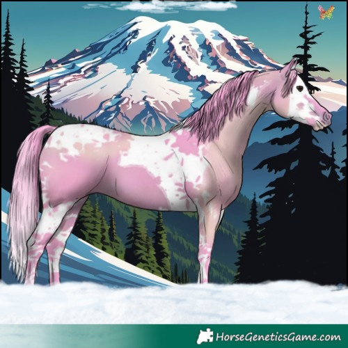 Horse Color:Watercolor Brown Splash Tobiano 