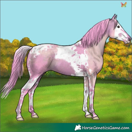 Horse Color:Watercolor Brown Splash Tobiano 