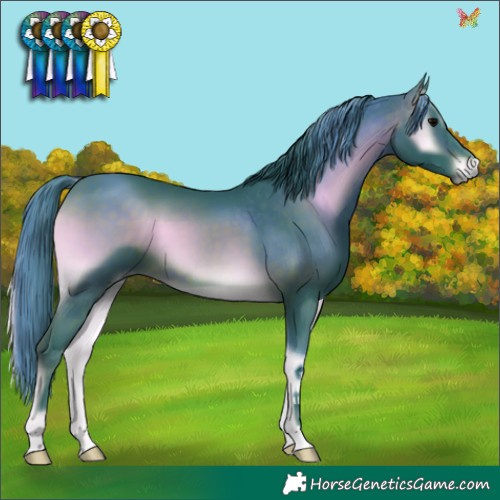 Horse Color:Watercolor Brown Onyx 