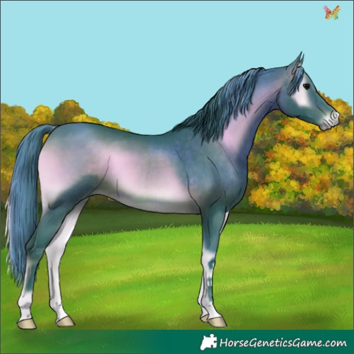 Horse Color:Watercolor Brown Onyx 
