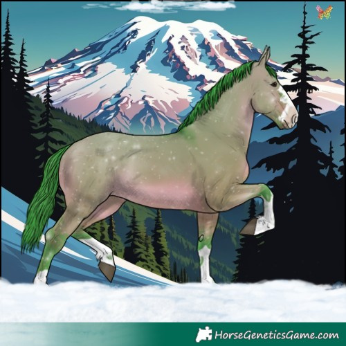 Horse Color:Watercolor Brown Dun 