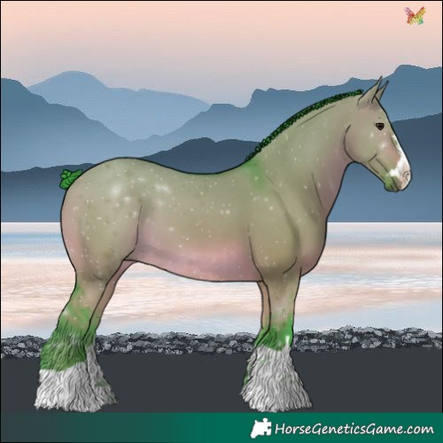 Horse Color:Watercolor Brown Dun 