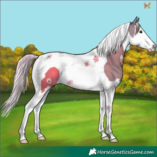 Horse Color:Watercolor Silver Black Splash Tobiano 