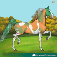 Horse Color:Watercolor Liver Chestnut Splash Tobiano