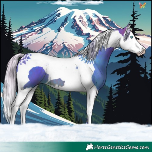 Horse Color:Watercolor Silver Brown Splash Tobiano 