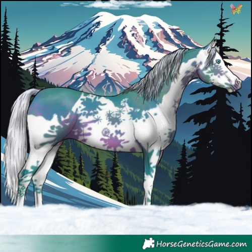 Horse Color:Watercolor Silver Brown Splash 