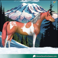 Horse Color:Watercolor Liver Chestnut Tobiano 