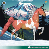 Horse Color:Watercolor Liver Chestnut Tobiano 