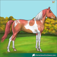 Horse Color:Watercolor Liver Chestnut Tobiano