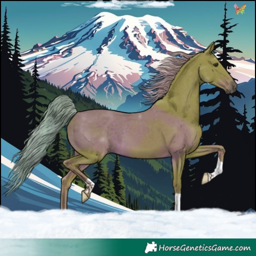 Horse Color:Watercolor Liver Chestnut 