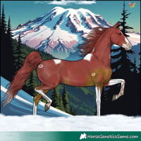 Horse Color:Watercolor Liver Chestnut Splash Tobiano