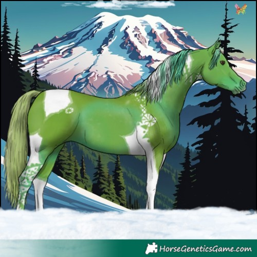 Horse Color:Watercolor Liver Chestnut Tobiano 