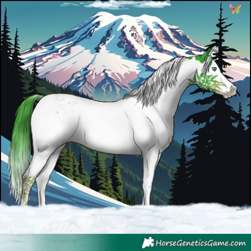 Horse Color:Watercolor Liver Chestnut Splash Tobiano 