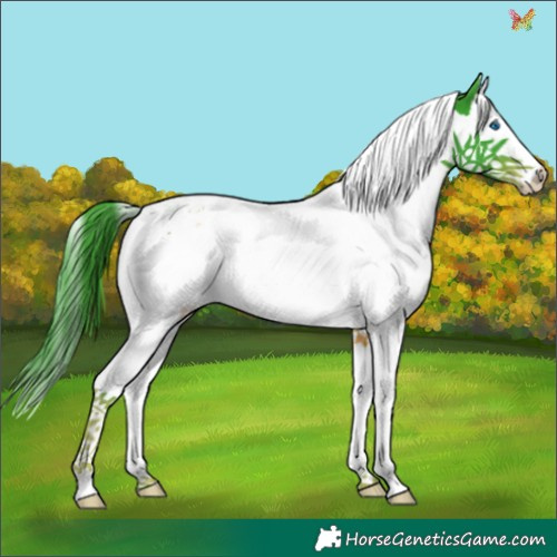 Horse Color:Watercolor Liver Chestnut Splash Tobiano 