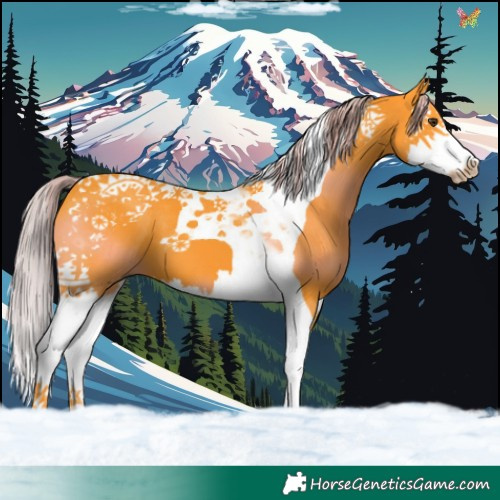 Horse Color:Watercolor Liver Chestnut Splash Tobiano 