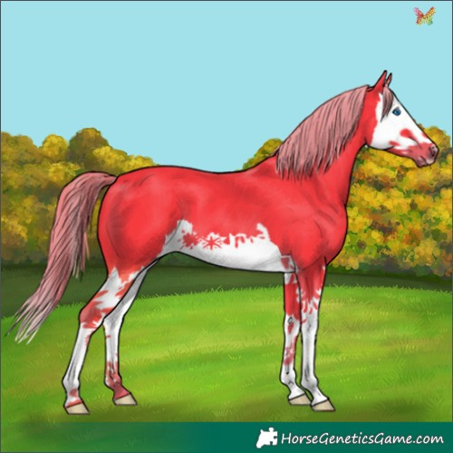 Horse Color:Watercolor Liver Chestnut Splash 