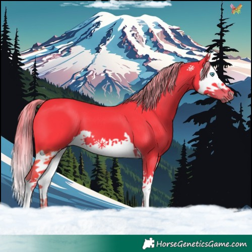 Horse Color:Watercolor Liver Chestnut Splash 