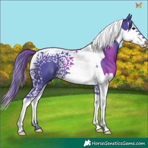 Horse Color:Watercolor Black Splash Tobiano 