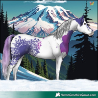 Horse Color:Watercolor Black Splash Tobiano 