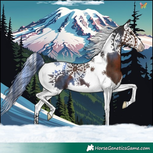Horse Color:Liver Chestnut Splash Tobiano 