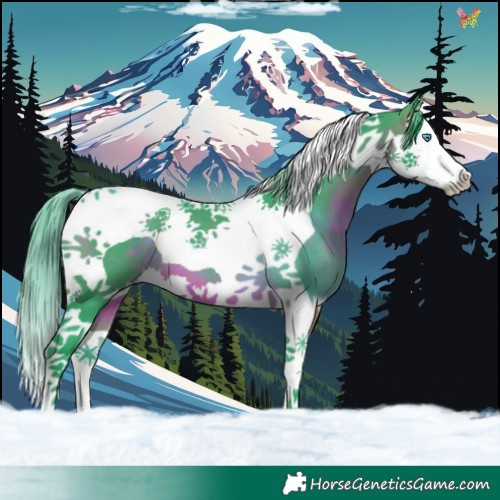 Horse Color:Watercolor Brown Splash Tobiano 