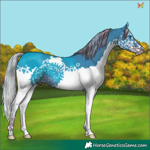 Horse Color:Watercolor Liver Chestnut Splash 