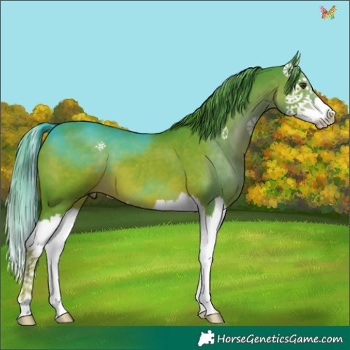 Horse Color:Watercolor Liver Chestnut Splash 