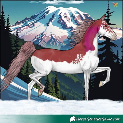 Horse Color:Watercolor Liver Chestnut Splash 