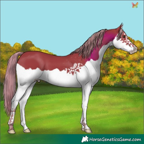 Horse Color:Watercolor Liver Chestnut Splash 