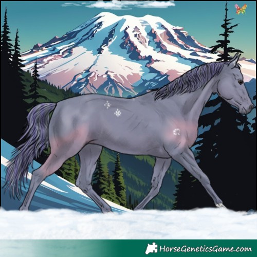 Horse Color:Painted Watercolor Black 