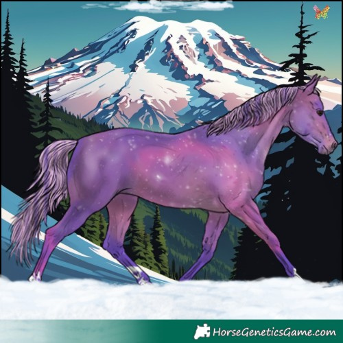 Horse Color:Painted Watercolor Bay 