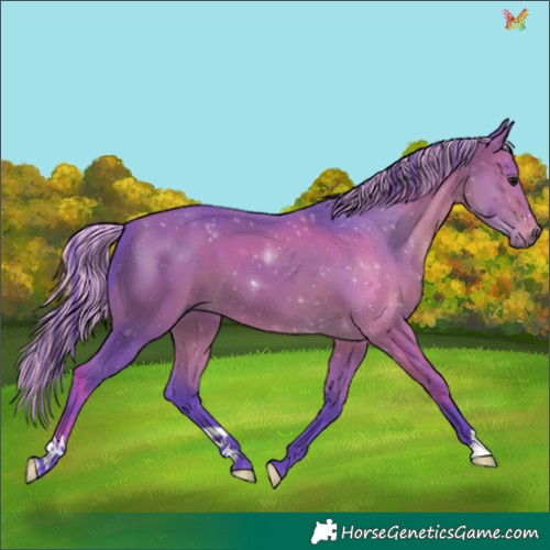 Horse Color:Painted Watercolor Bay 