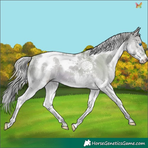 Horse Color:Watercolor Chocolate Palomino Dun Splash Tobiano 