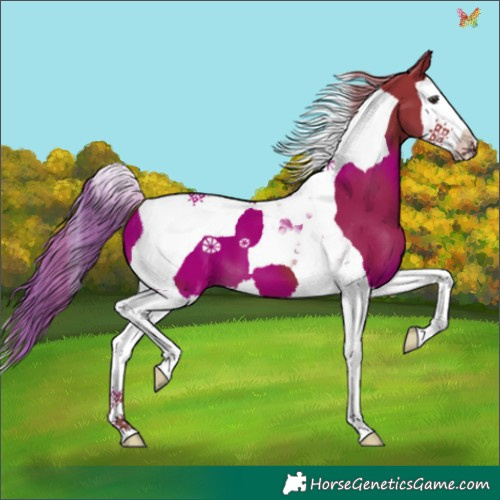 Horse Color:Watercolor Liver Chestnut Splash Tobiano 
