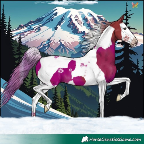 Horse Color:Watercolor Liver Chestnut Splash Tobiano 