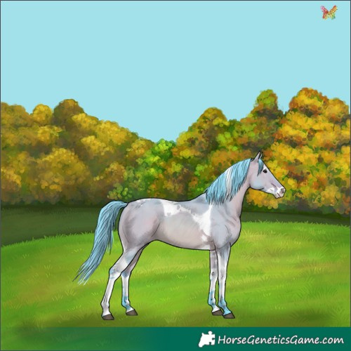 Horse Color:Watercolor Bay Dun Splash Tobiano 