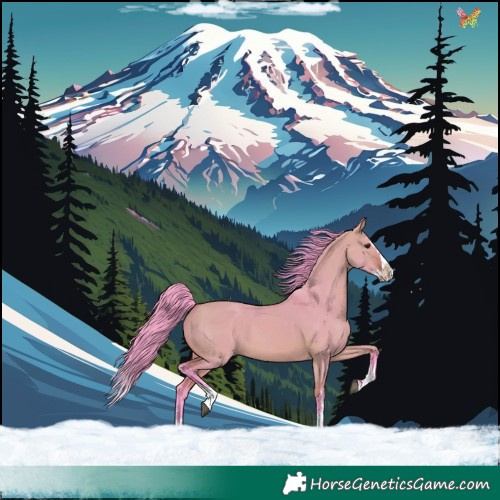 Horse Color:Watercolor White Spotted Bay Dun Splash 
