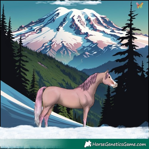 Horse Color:Watercolor White Spotted Bay Dun Splash 