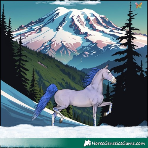 Horse Color:Watercolor White Spotted Bay Dun Splash 