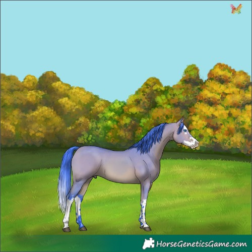 Horse Color:Watercolor White Spotted Bay Dun Splash 