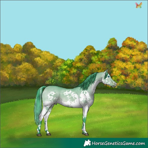Horse Color:Watercolor White Spotted Bay Dun Splash 