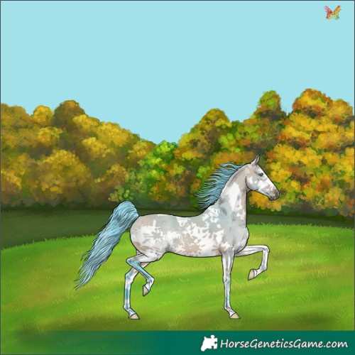 Horse Color:Watercolor Bay Dun Splash Tobiano 