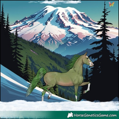 Horse Color:Watercolor White Spotted Brown Dun Splash 